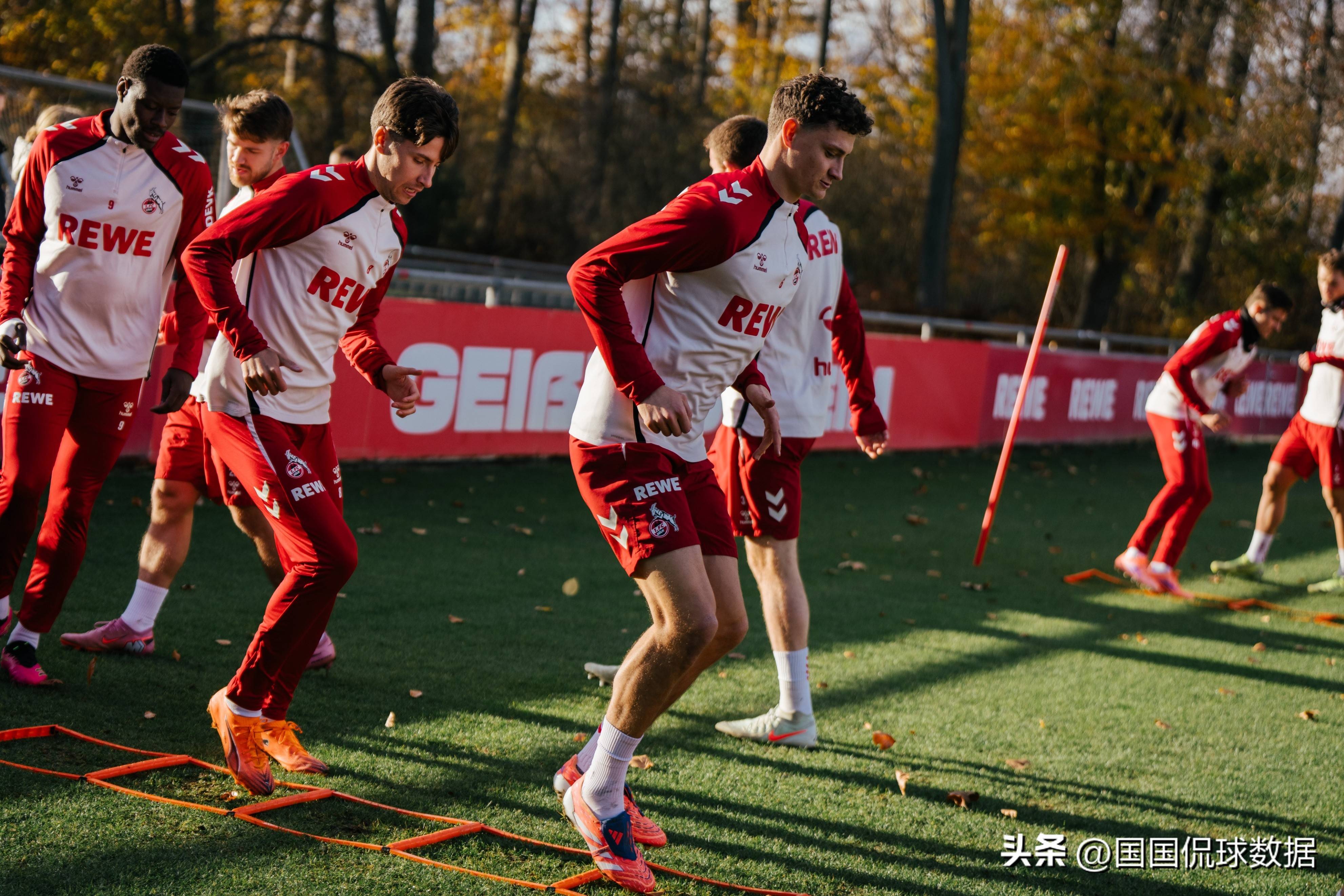 我的玩家好凶猛帅犬弗兰克