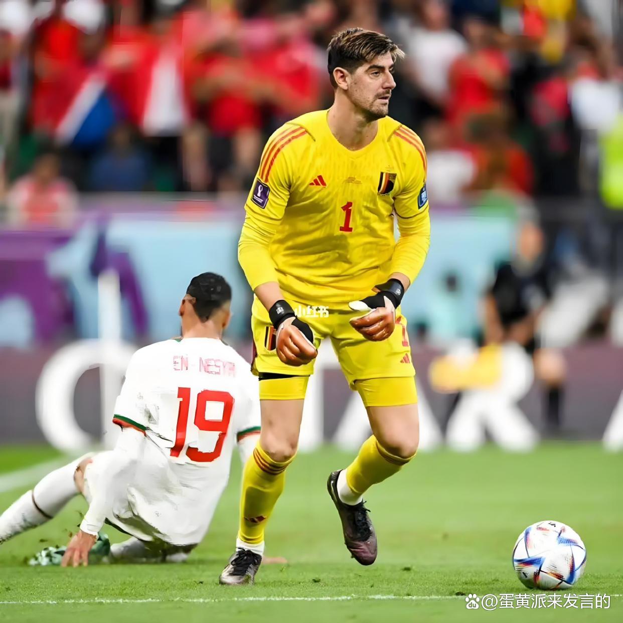 澳门威尼斯人-关于澳大利亚足球名将受伤缺席重要比赛的信息